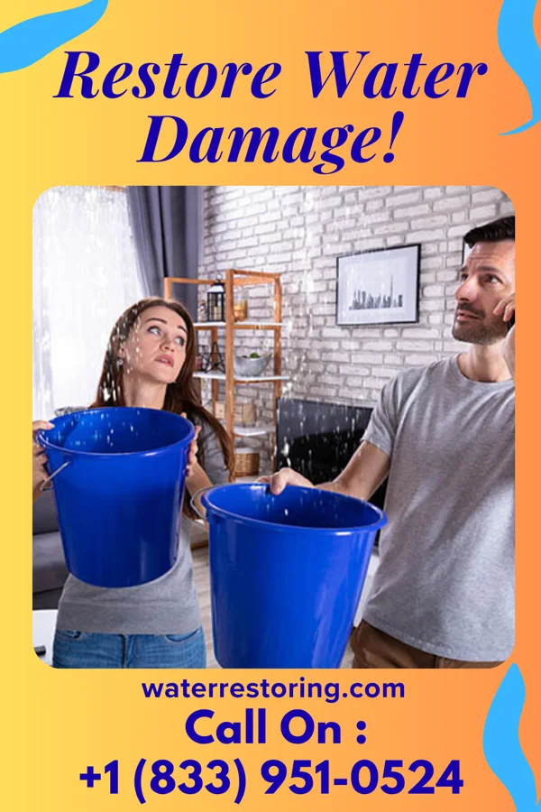 water restoration Lightning Water Damage & Sons Hopkins