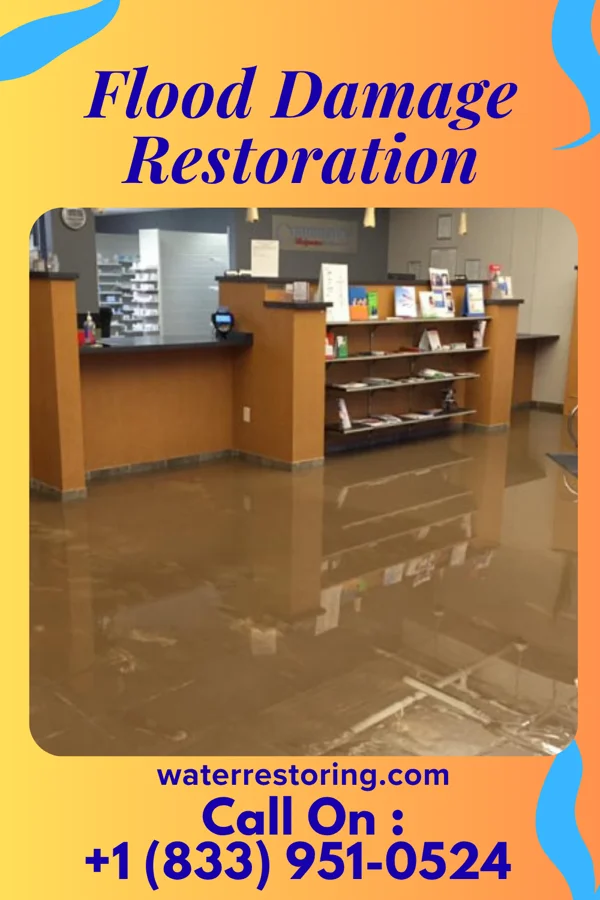 Flood Damage Restoration in Hopkins, MI