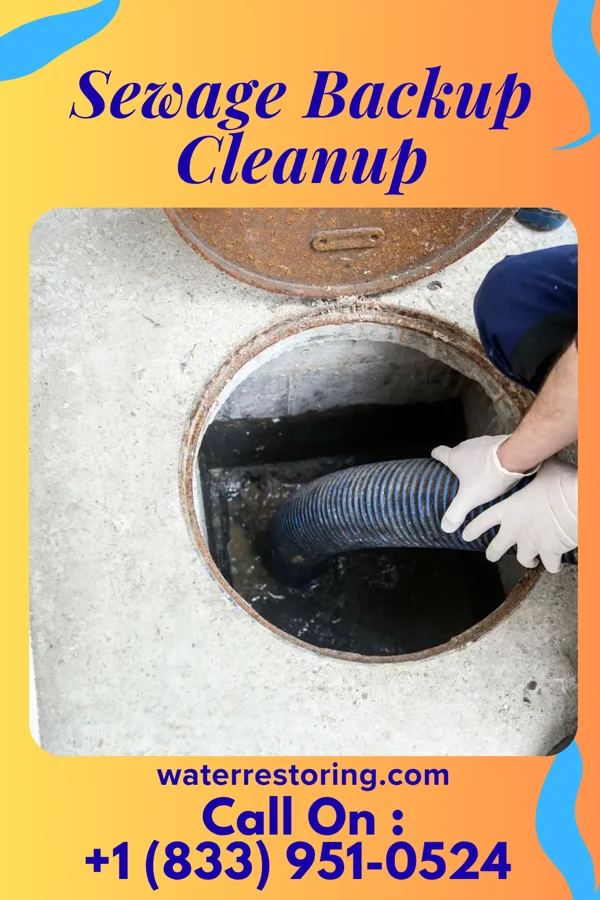 Sewage Backup Cleanup in Hopkins, MI