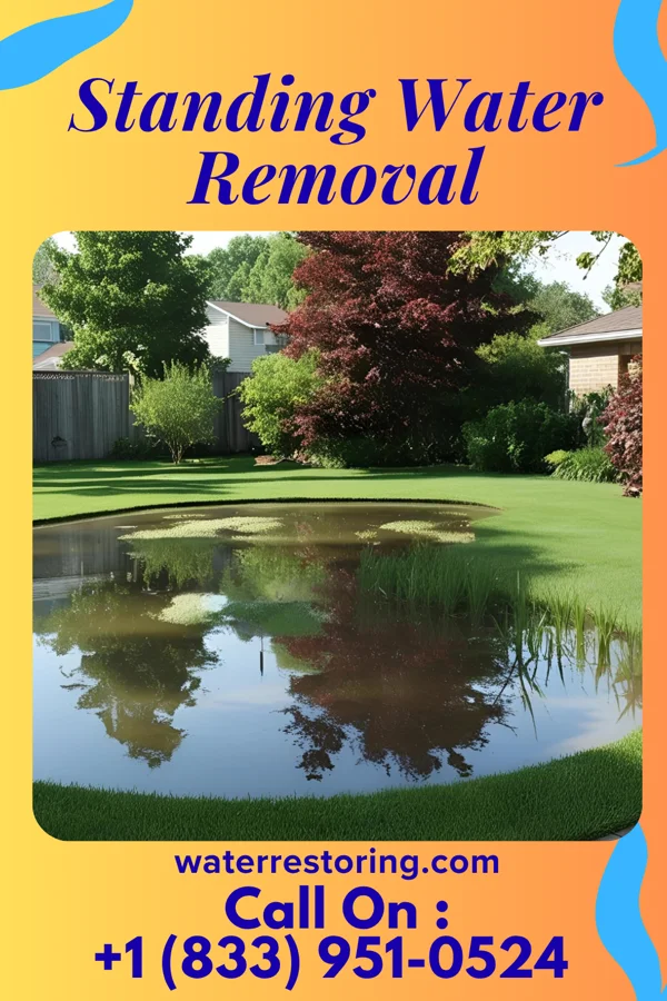 Standing Water Removal in Hopkins, MI